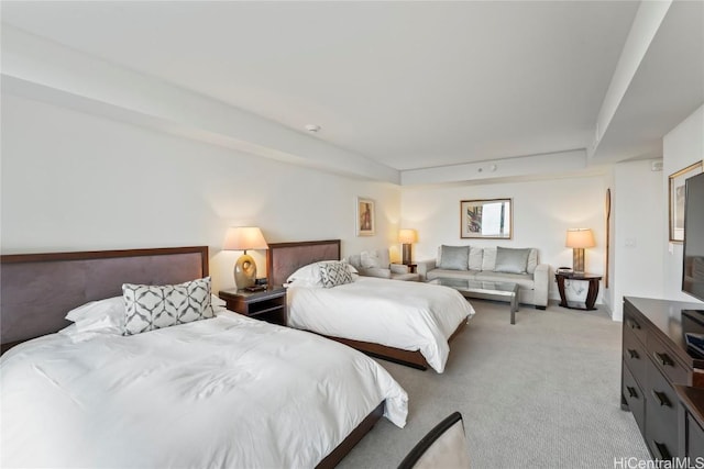 carpeted bedroom with a tray ceiling