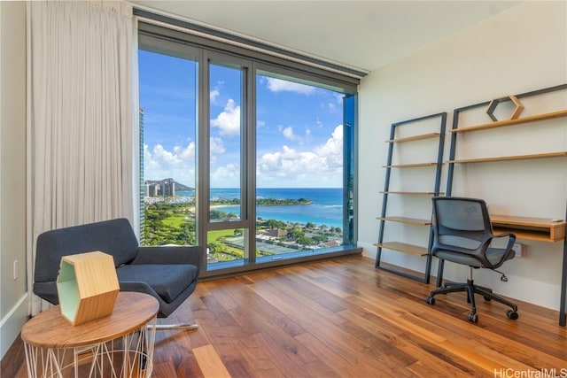 living area featuring plenty of natural light, expansive windows, wood-type flooring, and a water view