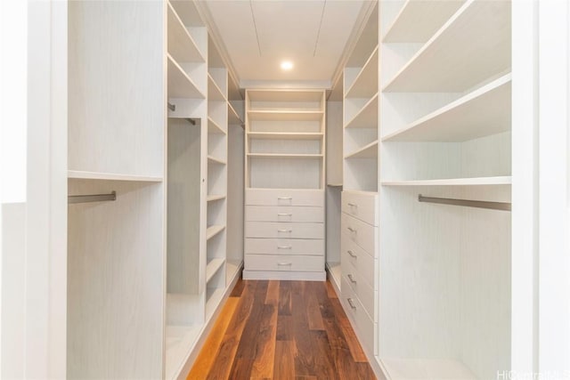 walk in closet featuring dark wood-type flooring