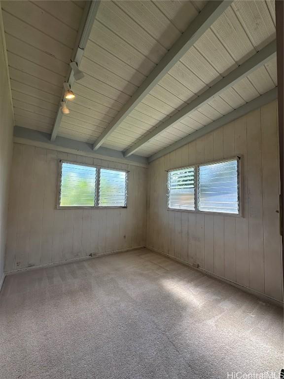 spare room with beam ceiling, light colored carpet, and a healthy amount of sunlight