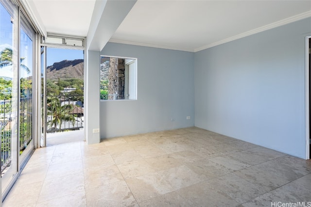 spare room featuring ornamental molding and plenty of natural light