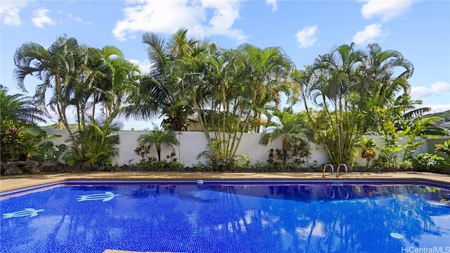 view of swimming pool with a fenced backyard