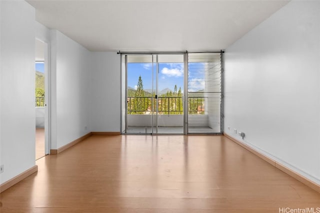 spare room featuring light hardwood / wood-style floors and a wealth of natural light