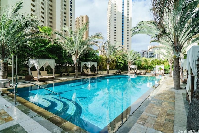 view of pool featuring a patio