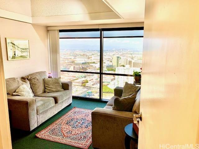 interior space with carpet and a healthy amount of sunlight