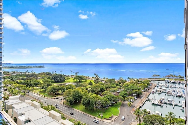 bird's eye view featuring a water view