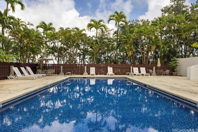 view of pool featuring a patio