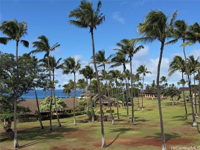 view of home's community featuring a lawn