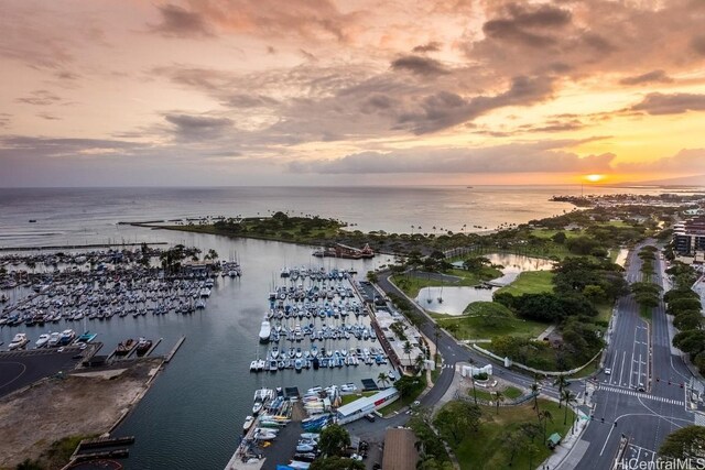 aerial view at dusk with a water view