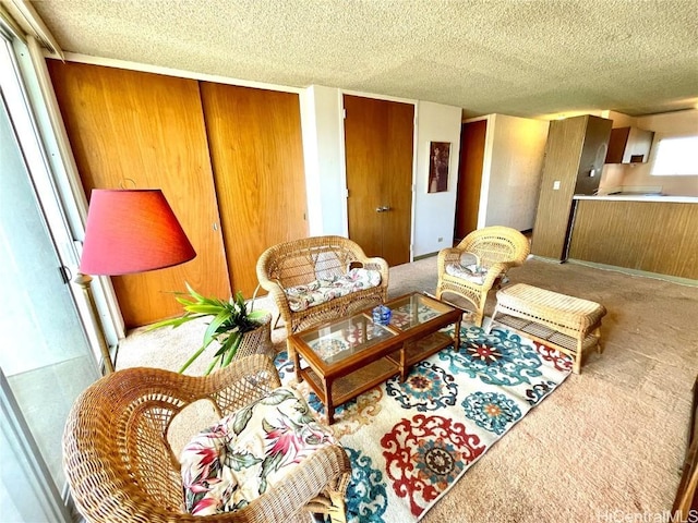 living room with a textured ceiling and carpet