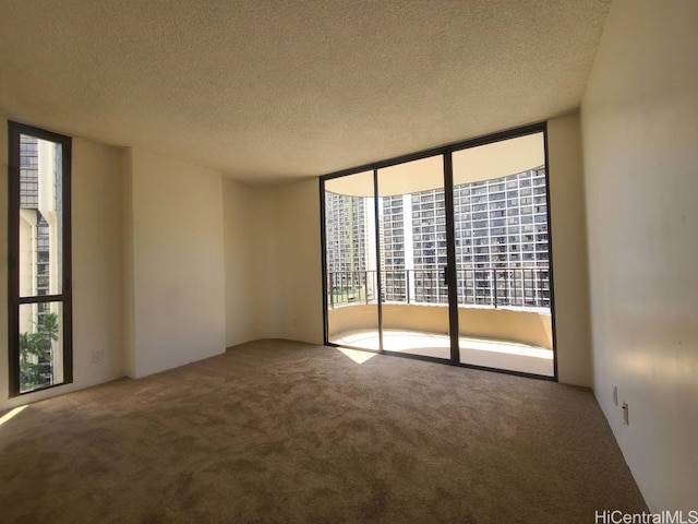 carpeted spare room with a textured ceiling