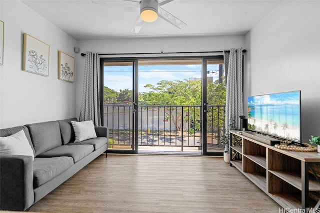 living room with ceiling fan and light wood-type flooring