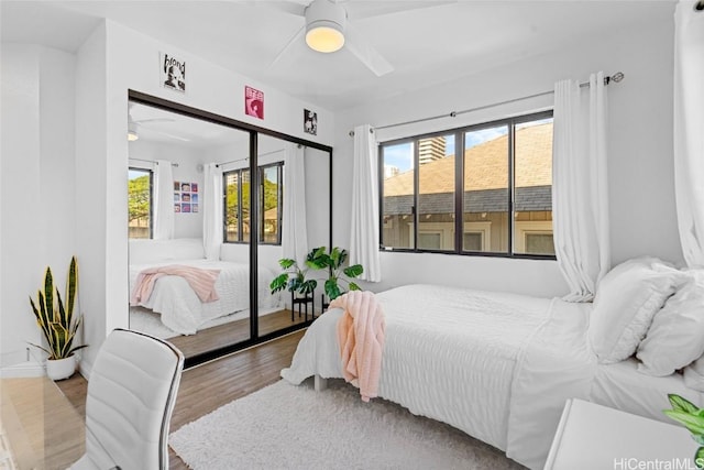 bedroom featuring ceiling fan, light hardwood / wood-style floors, and multiple windows