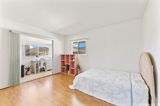 bedroom featuring multiple windows and wood-type flooring