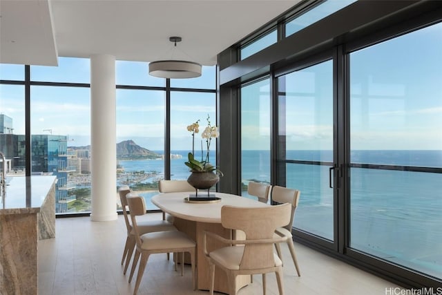 sunroom with a water view and a healthy amount of sunlight