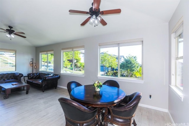 dining space with ceiling fan and light hardwood / wood-style flooring