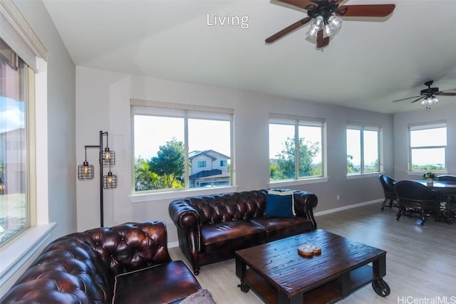 living room featuring ceiling fan and light wood-type flooring