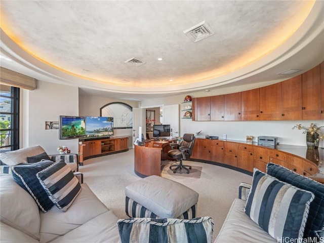 carpeted living room featuring a raised ceiling