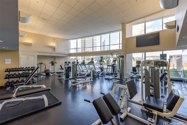 exercise room with a towering ceiling