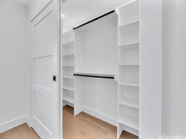 spacious closet featuring hardwood / wood-style flooring and a barn door