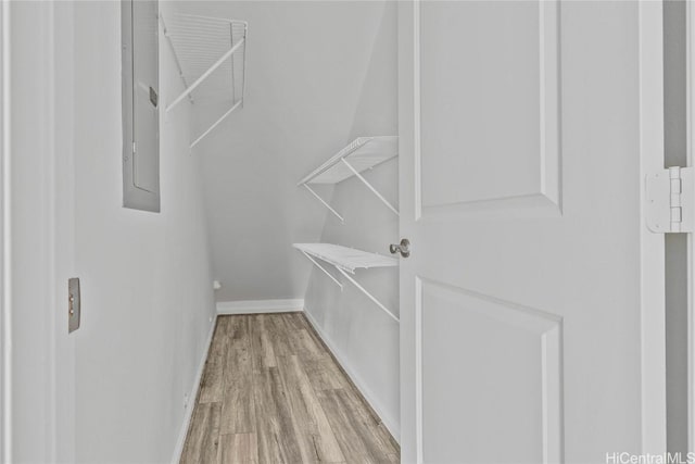 spacious closet featuring light hardwood / wood-style floors