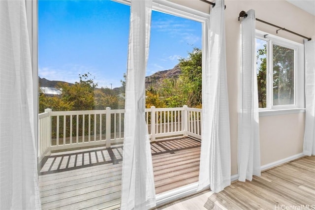 doorway to outside featuring a mountain view and light hardwood / wood-style flooring