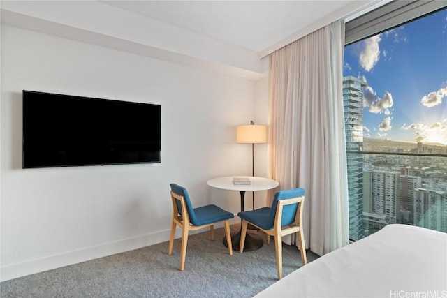 bedroom featuring carpet flooring and baseboards