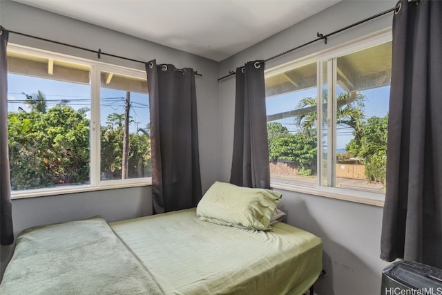 bedroom with multiple windows