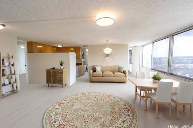 living room featuring light hardwood / wood-style floors and a textured ceiling