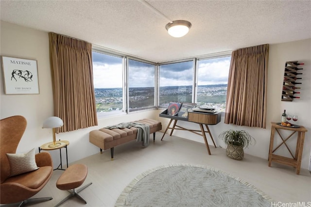 sitting room with a textured ceiling