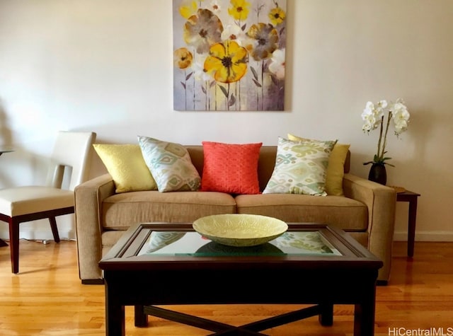 living room with wood-type flooring