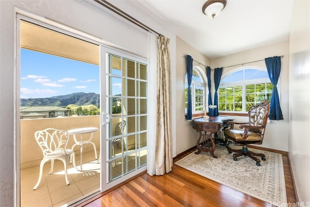 interior space with a mountain view and hardwood / wood-style floors