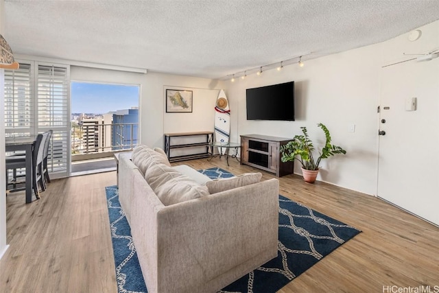 living room featuring hardwood / wood-style flooring, track lighting, and a textured ceiling