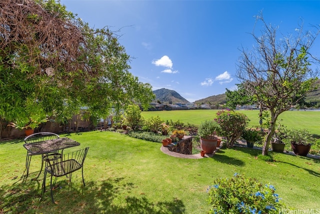 view of yard with a rural view and a mountain view