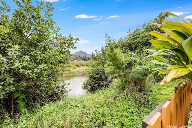 property view of water with a mountain view