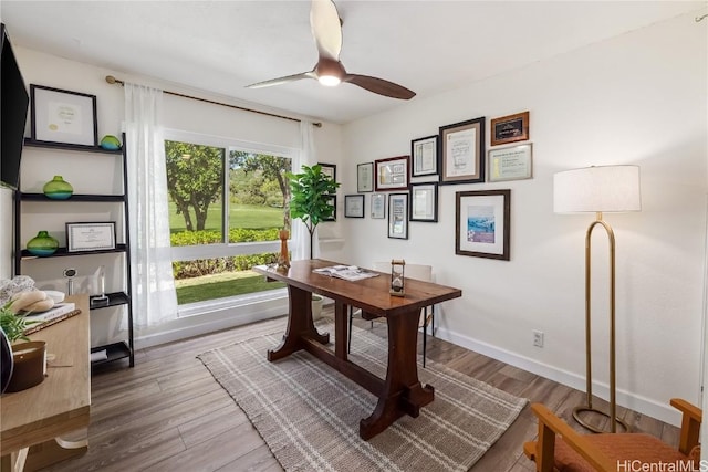 office area featuring ceiling fan and hardwood / wood-style floors