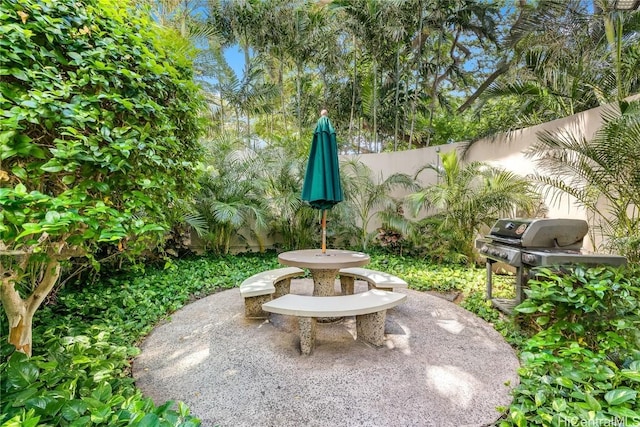 view of patio with area for grilling