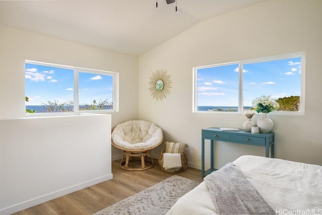 bedroom with wood-type flooring and lofted ceiling