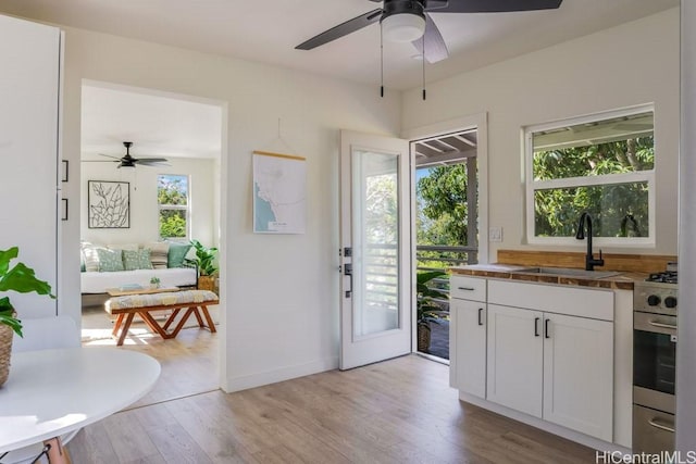 interior space with sink, a wealth of natural light, light wood-type flooring, and white cabinets