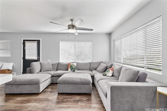 living room with dark hardwood / wood-style floors and ceiling fan