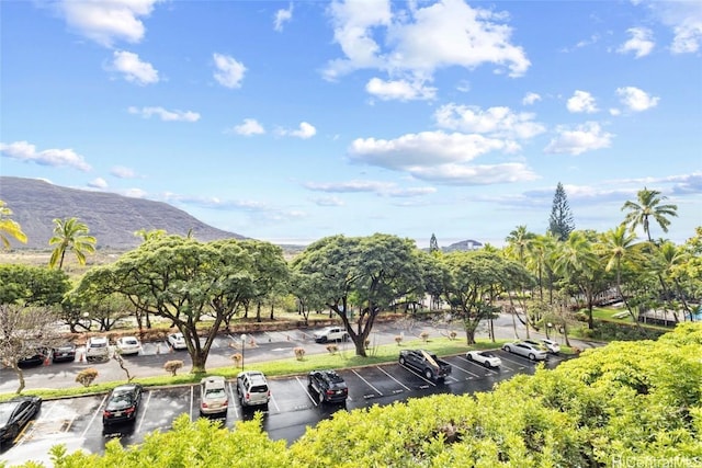 view of property's community with a mountain view