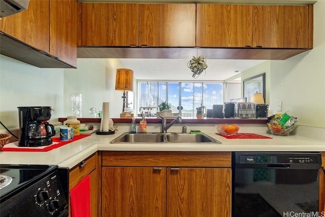 kitchen featuring stove, sink, and dishwasher