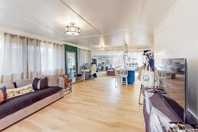 living room featuring light wood-type flooring