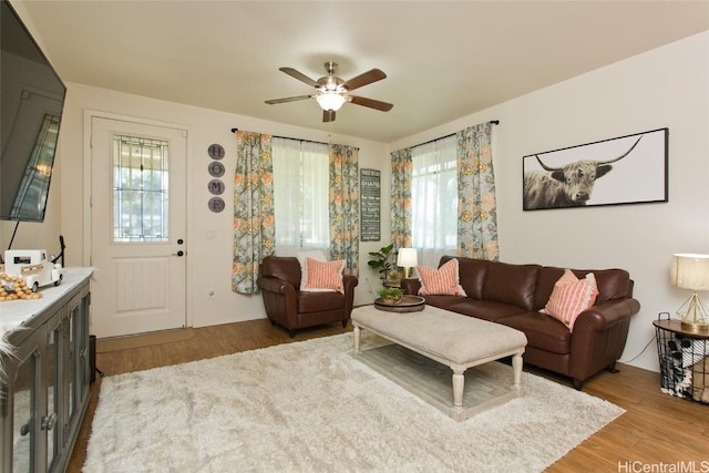 living room with hardwood / wood-style flooring and ceiling fan