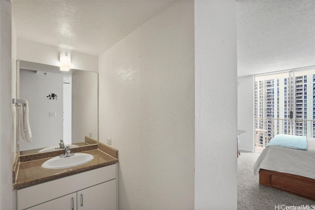 bathroom with vanity and a textured ceiling