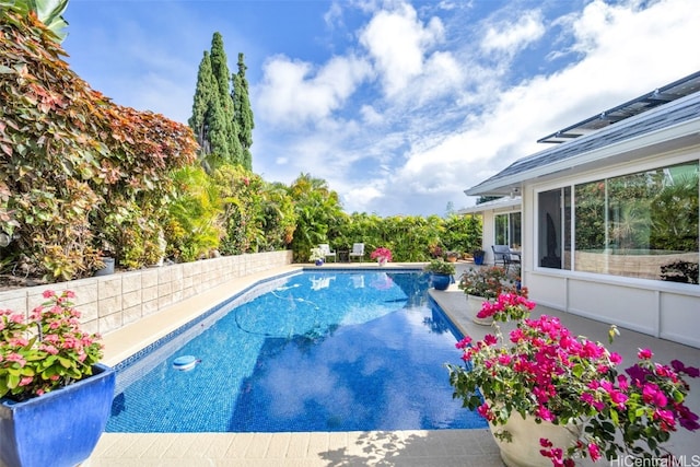 view of swimming pool