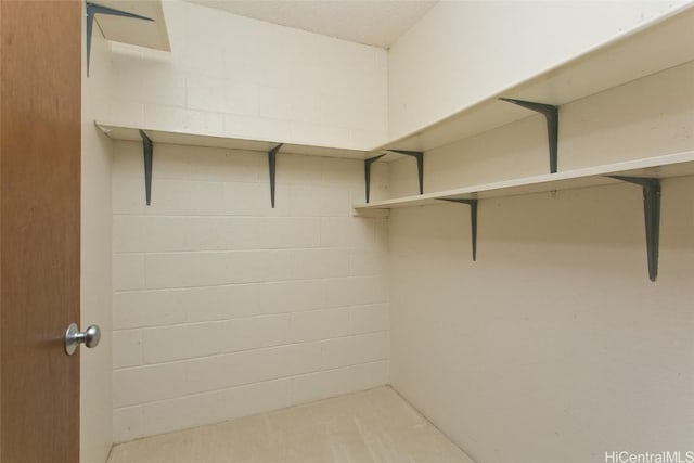 view of walk in closet