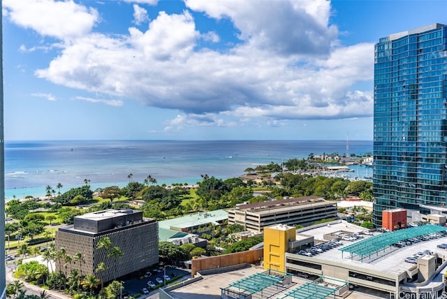 aerial view with a water view