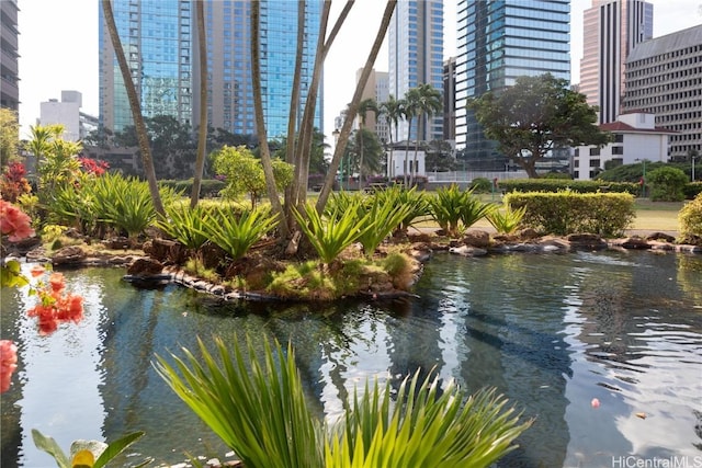 view of water feature with a garden pond