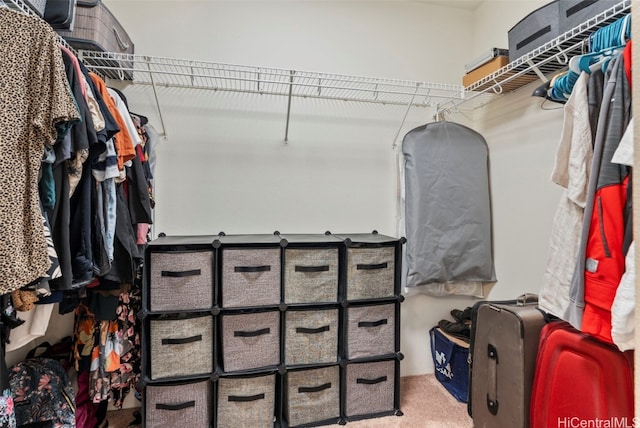 walk in closet with carpet floors